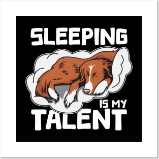 Funny Toller Nova Scotia Duck Tolling Retriever Sleeping Is My talent Posters and Art